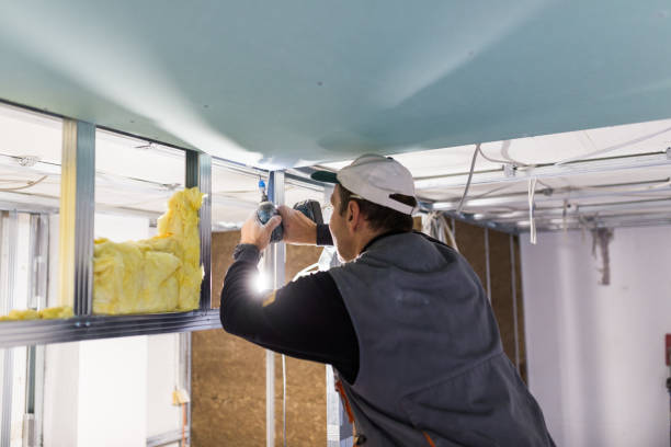 Best Insulation for New Construction  in Arden On The Severn, MD