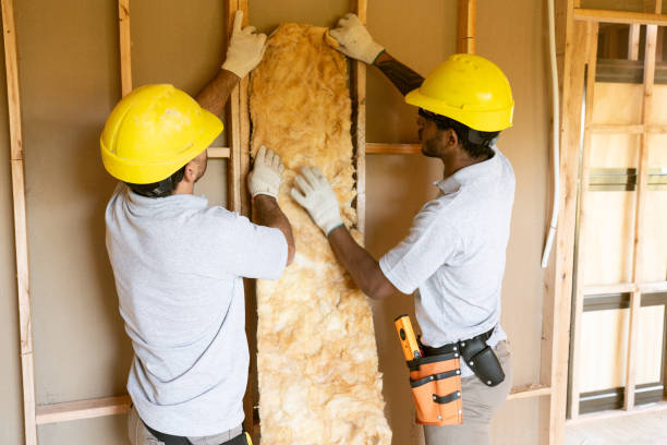 Best Attic Insulation Installation  in Arden On The Severn, MD